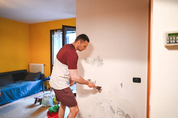 Professional Mold Removal in Folsom, PA